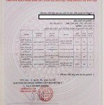 cần bán gấp lô đất đẹp trung tâm đà lạt, phường 8, giá 32 tỷ (còn thương lượng)
