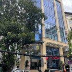 cho thuê building 2mt bạch đằng/ dt: 8x31m / dtsd: 1600m2 / gía cho thuê 200tr/tháng
