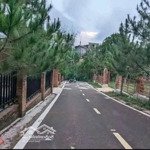 chính chủ gửi bán lô hẻm 54 hải thượng lãn ông.
khu trung tâm phường 1. đường nhựa lớn