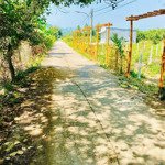 bán đất chính chủ tại dateh lâm đồng