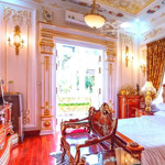 chủ định cư mỹ ra gấp biệt thự vip, nguyễn đình chiểu, 9 nở hậu 15 x 28 =325m2, 290 tỷ.