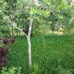 đất biệt thự mặt tiền, view ao hồ đẹp, đường xô viết nghệ tĩnh. dt: 300m2 (10.2x29.5)m. giá 30.5 tỷ