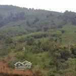 cần bán mảnh đất hơn 6ha, mặt tiền bám suối, có đủ các loại đất trong sổ, giao thông thuận tiện