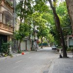 cho thuê nhà liền kề tại khu đô thị định công, hoàng mai, hà nội