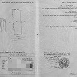 bán đất mặt tiền đường 171, rạch thi đua trong xanh quanh năm. đường rộng, thông thuận giao thông.