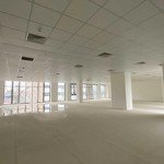 bql cho thuê văn phòng the may legend, hồng bàng, hải phòng. dt: 50m2, 60m2, 120m2, 250m2, 1000m2