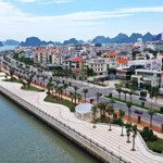 cần bán đất biệt thự mặt đường bao biển trung tâm tp hạ long