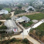 bán lô đất 487.9m mặt tiền 12.3m tại thôn chóng, yên bài. đất có 150m thổ cư. vị trí quy hoạch đẹp