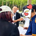 hàng hiếm tại long tân, dầu tiếng, bình dương, 690 triệu, 213m2