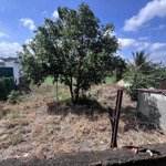 gia đình cần bán 2072m2 đất mặt tiền lương thế vinh