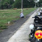 chính chủ bán đất ngang 5m dài 26m - cách quốc lộ 1 chỉ 200m