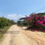 bán đất- dt: 2000m2, mặt tiền ngang 36,5m, giá tốt xã tân lập, hàm thuận nam, bình thuận