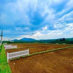 cắt lỗ gấp 02 lô đất thổ cư liền kề ở huyện di linh cách quốc lộ 20 chỉ 2,5km giá chỉ hơn 300 triệu