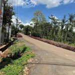 bán đất đường nhánh quốc lộ 56b, bàu chinh, châu đức, bà rịa vũng tàu, 550 triệu, 110m2 siêu hot