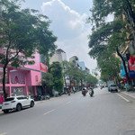 bán nhà mặt phố trần đại nghĩa-lê thanh nghị, lô góc 2 mặt thoáng, mặt tiền khủng 12m, giá 24.8 tỷ