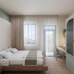 căn hộ mới 100% 1 phòng ngủ ban công mặt tiền lương như học, q5 gần cầu chà và