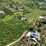 xuân phú- ea kar dt gần 900m2 ngang 10m sẵn 65m2 thổ cư kdc hiện hữu trên đất có cà phê chỉ 2xxtr