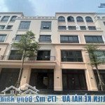 bán nhanh liền kề hải âu 75m, mặt tiền 5m tại vinhomes ocean park 2 rẻ hơn giá chủ đầu tư 10%