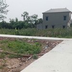 bán đất gia bình, bắc ninh. 130m2 * mt 5m * 1,72 tỷ. đường ô tô, full thổ cư.