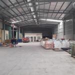CHO THUÊ KHO 700M2 GẦN KHU CÔNG NGHIỆP ĐẠI AN