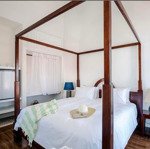 bán mini resort view lúa. nơi yên tĩnh và thu hút khách nước ngoài