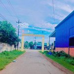 chính chủ cho thuê đất kinh doanh lâu dài km16, 230 m2,