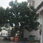 bán nhà phường thảo điền gần xa lộ hà nội