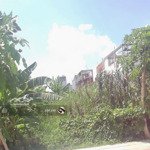 kẹt vốn còn chuyển nhượng gấp đất mt phạm hữu lầu, phường 1, sa đéc, đồng tháp. giá 500tr/120m2,shr