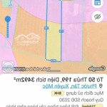 bán vườn phước tân, xuyên mộc, bà rịa vũng tàu, dt 3500m2 phủ hồng, đường nhựa 6m, giá 750tr/s