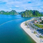 bán đất tặng nhà biệt thự siêu đẹp tại hạ long - quảng ninh