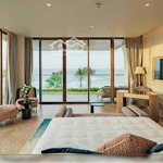 beach front villa ixora hồ tràm mặt tiền biển, giá ưu đãi 65 tỷ (chưa trừ chiết khấu) - dt 525m2