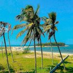 lô đất biển bình châu cực đẹp sát bên đô thị the tropicana novaland, sẵn thổ cư, cách biển chỉ 300m