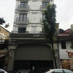 siêu hiếm! bán tòa building 9 tầng vip nhất phố liễu giai, dt 110m2 x 9 tầng, mt 5.5m, giá 65 tỷ