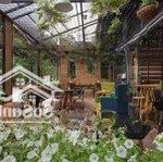 cho thuê mb riêng biêt lô góc hoà cường bắc ngang #10m! quận hải châu
giá 25tr/ tháng
dt