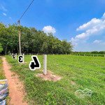 5x40m full thổ cư. sổ hồng riêng. đường xe hơi. 2xxtr