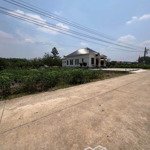 lô đất tại dh507 phú giáo, bình dương. shr giá 670tr 100%