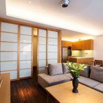 bán tòa apartment phố liễu giai, ba đình, 132m2 x 8 tầng, doanh thu 135tr/tháng, gara ô tô, 53.5 tỷ