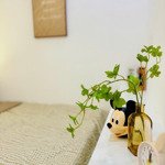 cần bán gấp nhà kiệt hoàng diệu full nội thất. đường ô tô 4m. sổ sẵn. giá chính chủ 3,45 tỷ
