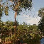 cần bán lô đất mặt tiền quốc lộ 56, xã bình ba, huyện châu đức, brvt.dt.3740m2 có 300m2 thổ cư