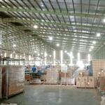 Cho Thuê Xưởng Sản Xuất 4.000m² Tại Bến Cát – Phù Hợp Ngành Cơ Khí, May Mặc, Nhựa. Liên hệ: Chothuexuongmiennam.com - 0366632092