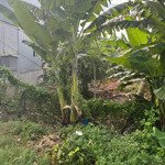 chủ gỡi ( 202m2 ) đất thổ cư thuộc xã phú thuận h thoại sơn an giang.