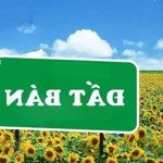 bán hộ ông chú lô đất 50,6 m2 tại tổ 3-4 phường tiền phong, ngay sát tai định cư cửa đình