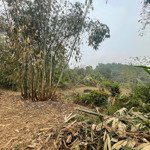chính chủ bán 8000m2 đất nghỉ dưỡng tiền phong, đà bắc, hòa bình