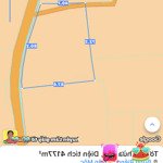 cần bán 4sào1 đất xã bưng riềng huyện xuyên mộc đường nhựa giá chỉ 730tr/1000m2 quá rẻ đường nhựa