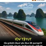 bắt sóng trước khi đt yên thường cb triển khai 109m2 lô góc sát dự án giá 95tr/1m2