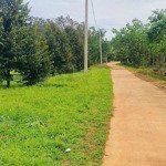 đất vườn sầu riêng 4 năm tuổi 1000m2 chỉ 250tr
