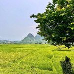 cần bán đất 600m2 view ruộng, núi ở kim bôi cách hn 75km. giá chỉ hơn 1 tỷ