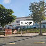 cắt lỗ bán đất 120m2 tc ngay kcn an phước, cách chợ an bình 2km, mt nhựa, khai thác dòng tiền được