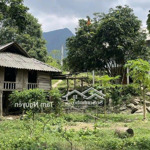 610 m2 (200 thổ cư) sẵn nhà sàn, 3 mặt bám đường, giá chỉ 3xx tr
- địa chỉ: phú cường, tân lạc