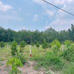 cách ủy ban an thái 200m. 5x47, tc 100m2